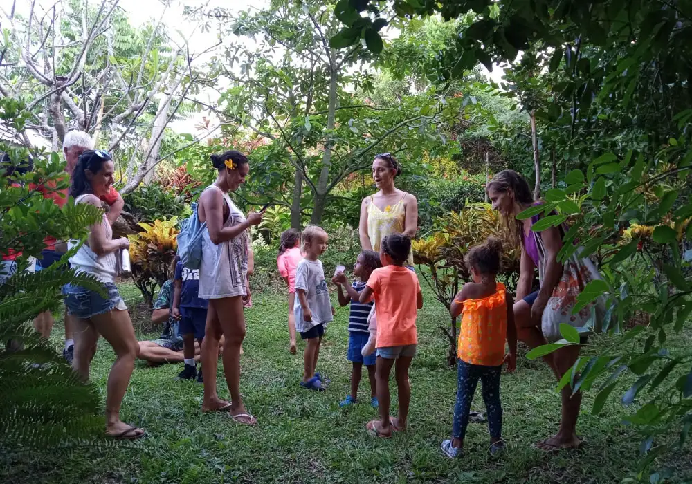 escuela bosque